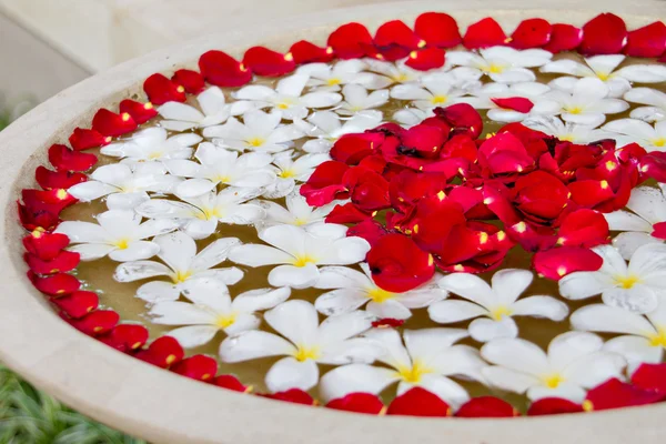 Plumeria und Rosenblätter — Stockfoto