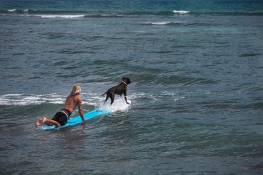 adam ile sörf yapan köpek