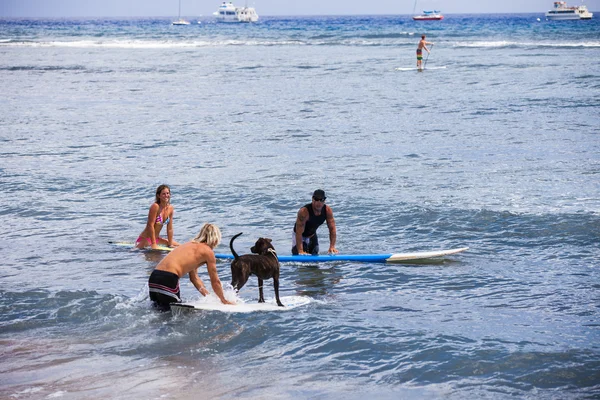 Przyjaciele surfing z psem na Hawajach — Zdjęcie stockowe