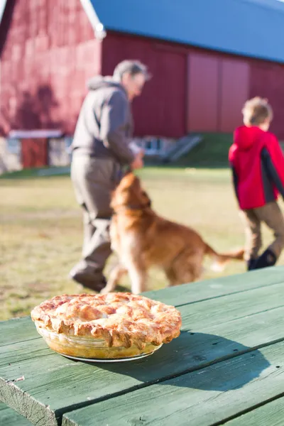 Homemade Apple Pie on a wooden picnic table — Stok fotoğraf