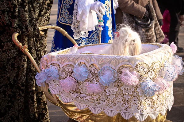 Perro mimado en el Carnaval Venecia Italia — Foto de Stock
