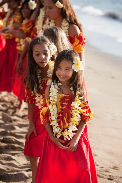 Giovani graziose ballerine Hula — Foto Stock