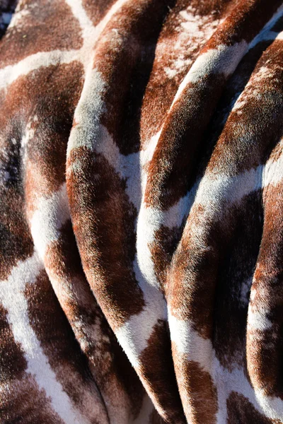 Ripples of a Giraffe skin — Stock Photo, Image