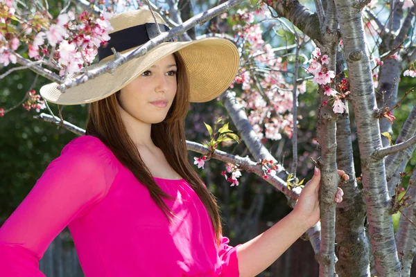 Bella donna in rosa sotto i fiori di ciliegio indossa un cappello — Foto Stock