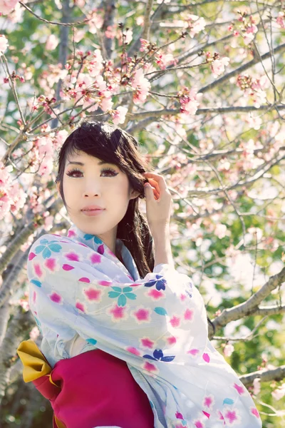 Hermosa mujer japonesa bajo flores de cerezo — Foto de Stock
