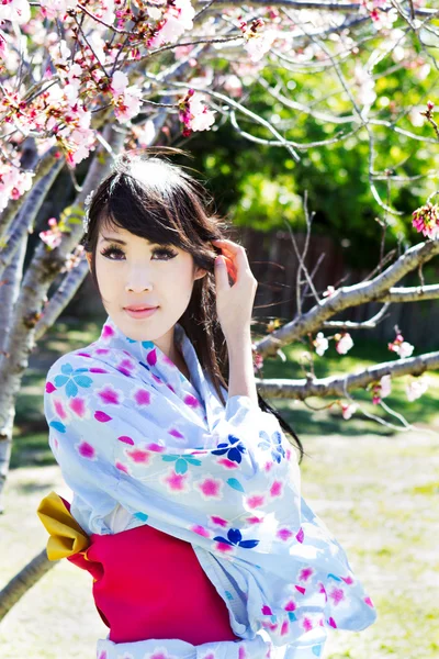 Hermosa mujer japonesa bajo flores de cerezo — Foto de Stock