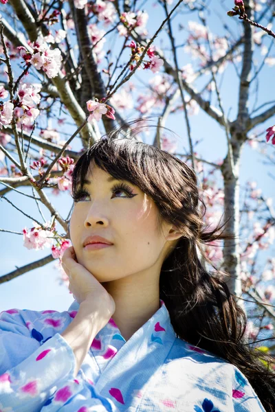 Красивая японка под цветущей вишней — стоковое фото