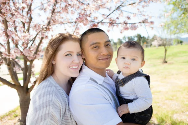 Beautiful young family portrait — Stock Photo, Image