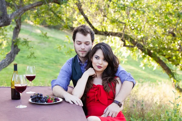 ピクニック中のカップル — ストック写真