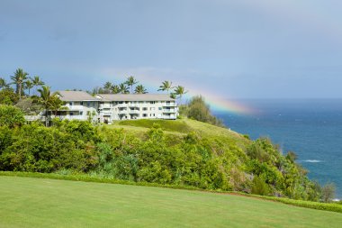 Tropical traquil living with a rainbow on the cliffs of Kauai clipart