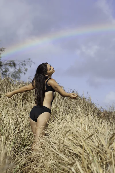 Traquil tropical que vive con un arco iris en los acantilados de Kauai — Foto de Stock