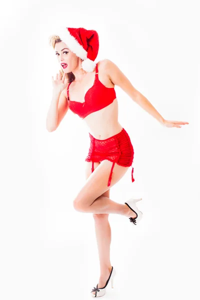 Sexy Pin-up schöne Weihnachtsmann liefert ein Welpengeschenk — Stockfoto