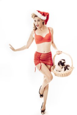 yavru köpek hediye sunma güzel Noel kadar seksi pin