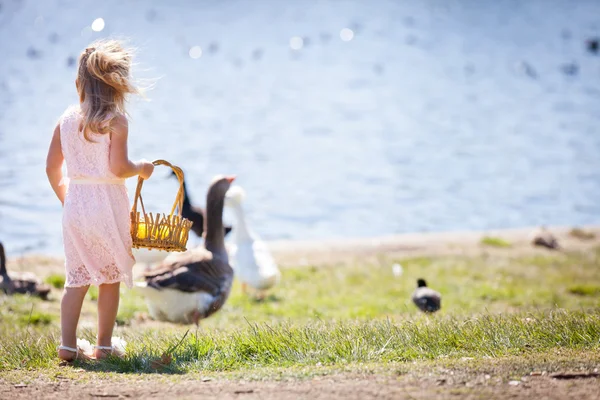 Hübsches Mädchen mit Enten und Gänsen — Stockfoto