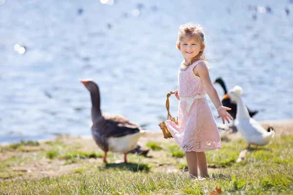 Csinos lány kacsák és libák — Stock Fotó