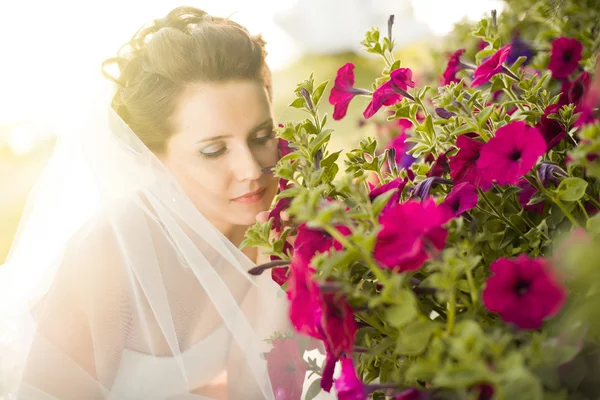 Beautiful fiancee — Stock Photo, Image