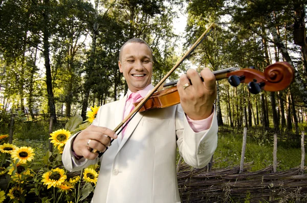 Violinista — Foto de Stock