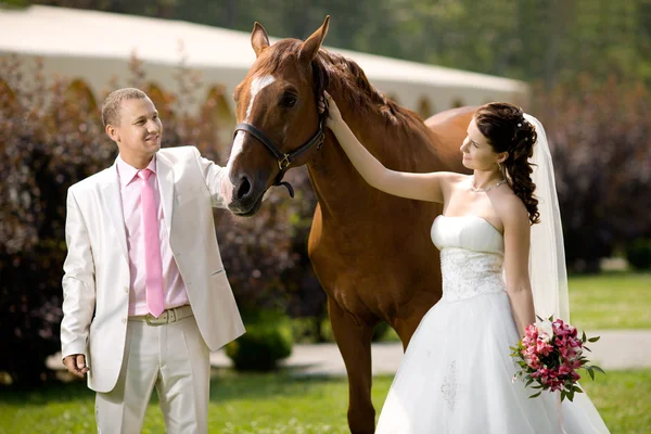 Casamento recente — Fotografia de Stock