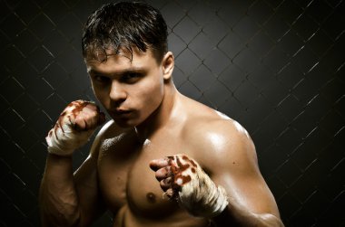street fighter