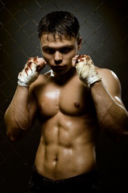 street fighter
