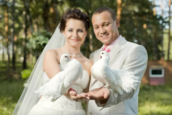 새로 결혼된 한 한 쌍 — 스톡 사진