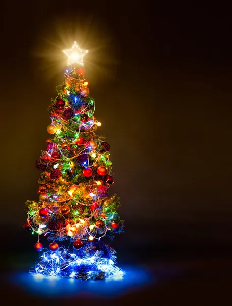 Χριστούγεννα firtree — Φωτογραφία Αρχείου