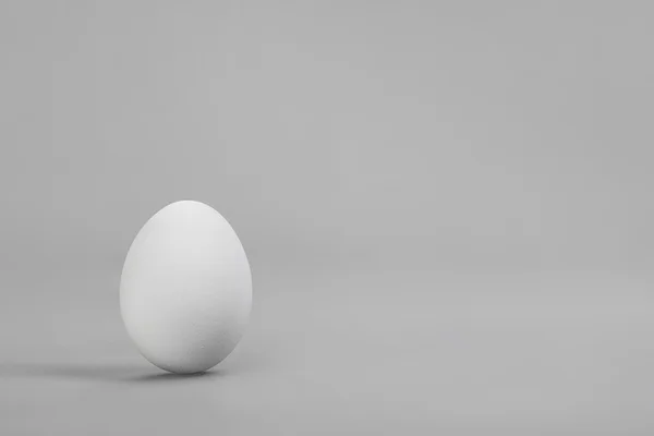 Egg isolated — Stock Photo, Image