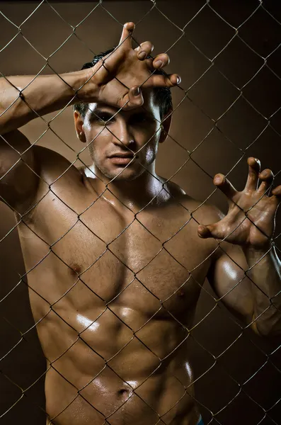 Человек-уголовник на сетке стальной ограды — стоковое фото