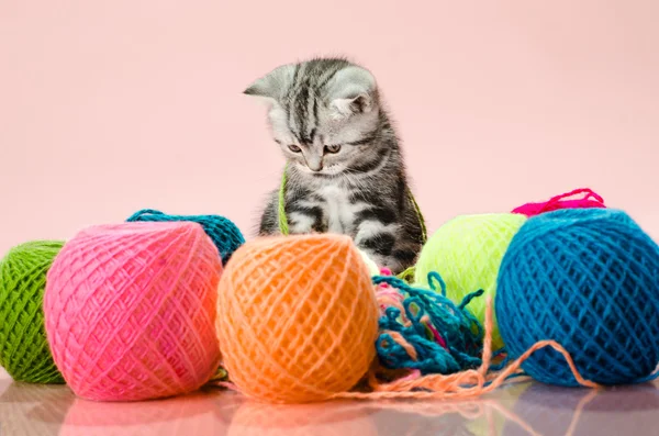 Γατάκι με πολύχρωμα κουβάρι — Φωτογραφία Αρχείου