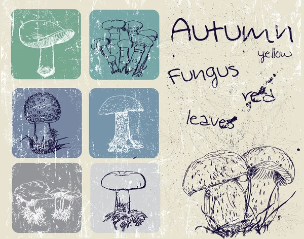 Vintage poster with autumn plants and fungus. — Stock Illustration Vintage poster with autumn plants and fungus. Royalty Free Stock Vectors