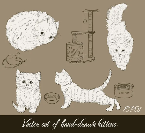 Vintage instellen met schattige kittens. — Stockvector