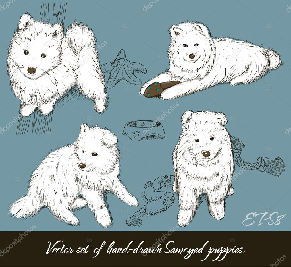 Vintage set with samoyed puppies.