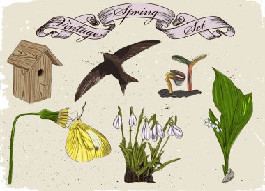 Vintage set of spring elements.