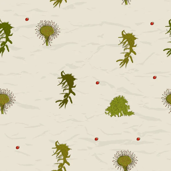 Seamless texture with cranberry and moss vintage style from autumn collection. Vector Graphics