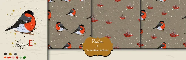 Conjunto com padrões de Natal sem costura e cartaz com bullfinch e bagas rowan de coleção de estilo de tinta. —  Vetores de Stock