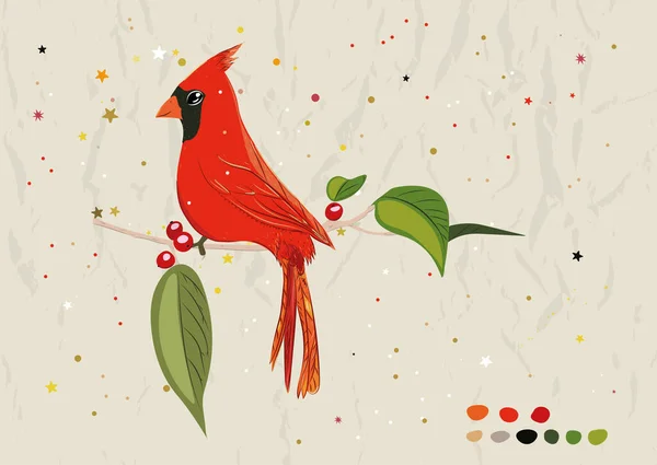 Cartel con cardenal rojo de la nueva colección de aves. — Archivo Imágenes Vectoriales