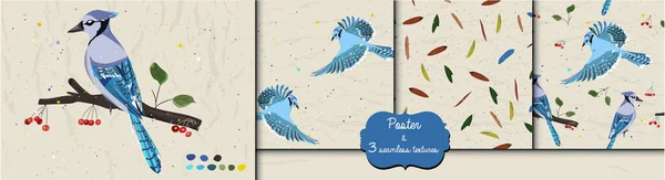 Плакат і три безшовні візерунки з колекції з блакитними сойками і червоними кардинальними птахами . — стоковий вектор