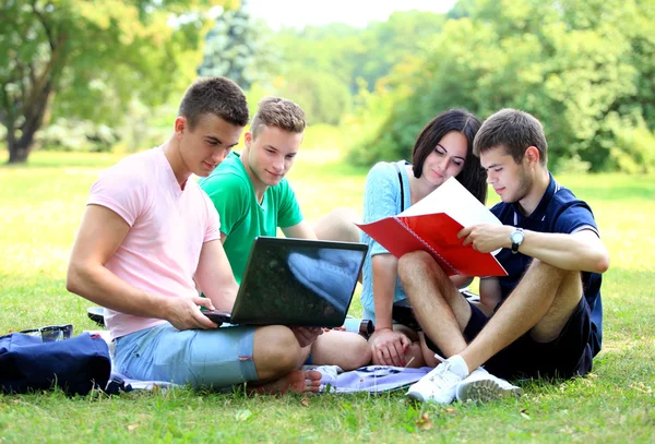 Cuatro estudiantes sonrientes estudiando en el parque verde —  Fotos de Stock