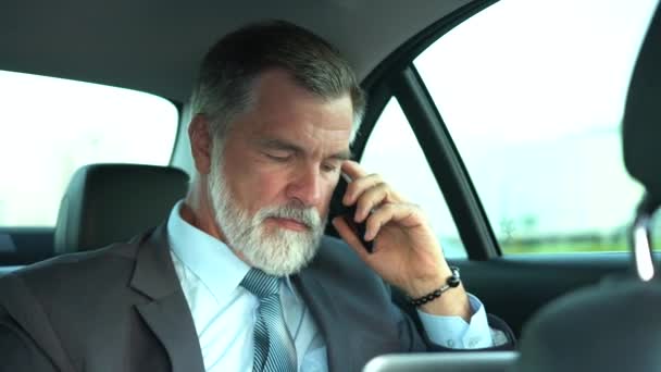 Pewny siebie biznesmen rozmawia przez telefon podczas podróży w klasie biznes samochodu lub w jego Elegancki drogi samochód podczas jazdy z własnym kierowcą — Wideo stockowe