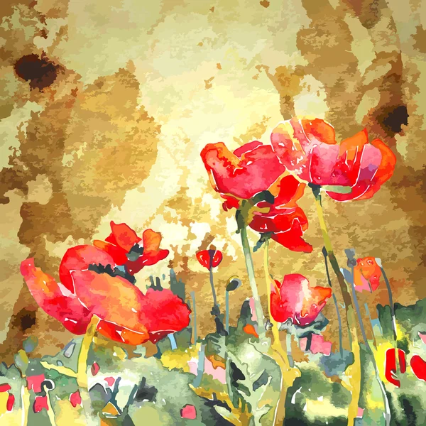 Aquarelle originale fleur de pavot en fond doré — Image vectorielle