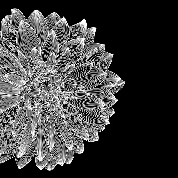 白黒 ボタニカルストックベクター ロイヤリティフリー白黒 ボタニカルイラスト Depositphotos