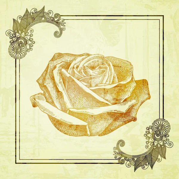 Ornate frame with sketchy drawing of rose flower — Stock Photo, Image