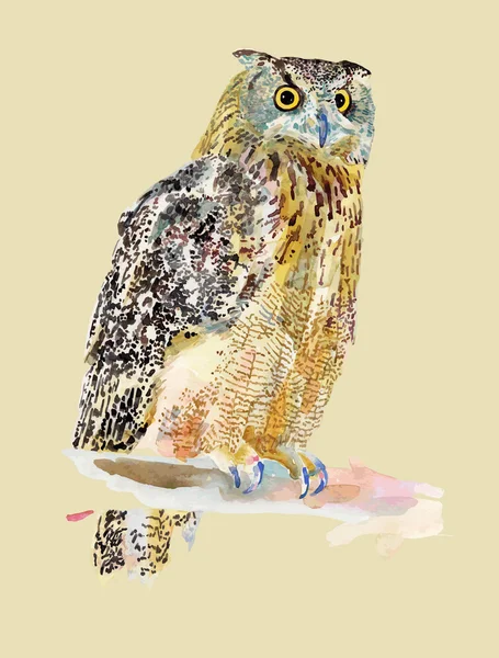 Pictura originală acuarelă de pasăre, bufniță pe o ramură — Vector de stoc