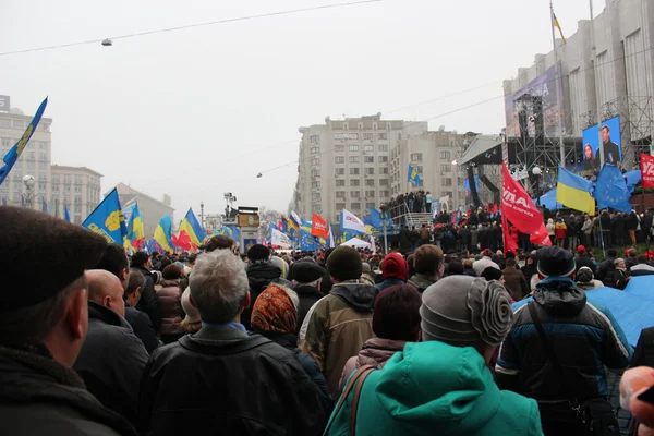 Tömeges találkozó a belépő Ukrajnának az Európai Unió, euromaydan, Kijev, Ukrajna, 2013. november 24. — Stock Fotó