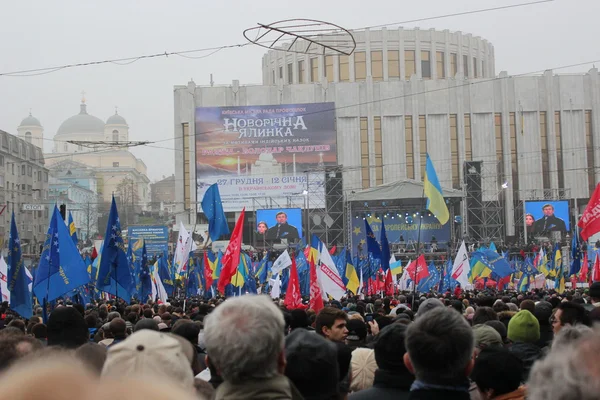 Encontro de massas para a entrada da Ucrânia na União Europeia, Euromaydan, Kiev, Ucrânia, 24 de novembro de 2013 — Fotografia de Stock