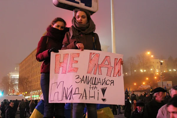 Incontro di massa per l'ingresso dell'Ucraina nell'Unione europea, Euromaydan, Kiev, Ucraina, 24 novembre 2013 — Foto Stock