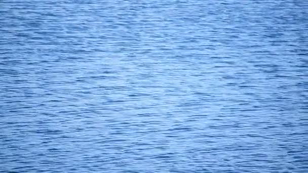 Ondulations d'eau sur le lac — Video