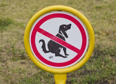 çimlerde boka köpekler belirtisi.