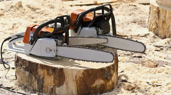 Sierras de cadena para trabajar con madera en un tronco de árbol recién talado . — Foto de Stock