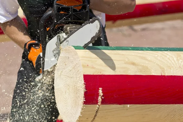 Man with chainsaw cutting the tree